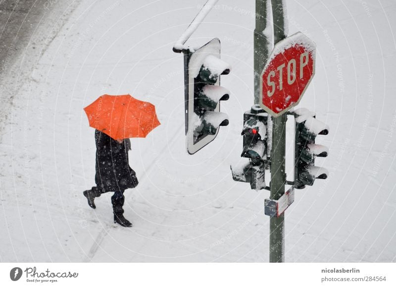 snow from yesterday Winter Snow Human being 1 Climate Climate change Weather Bad weather Storm Ice Frost Snowfall Pedestrian Street Traffic light Road sign Sign