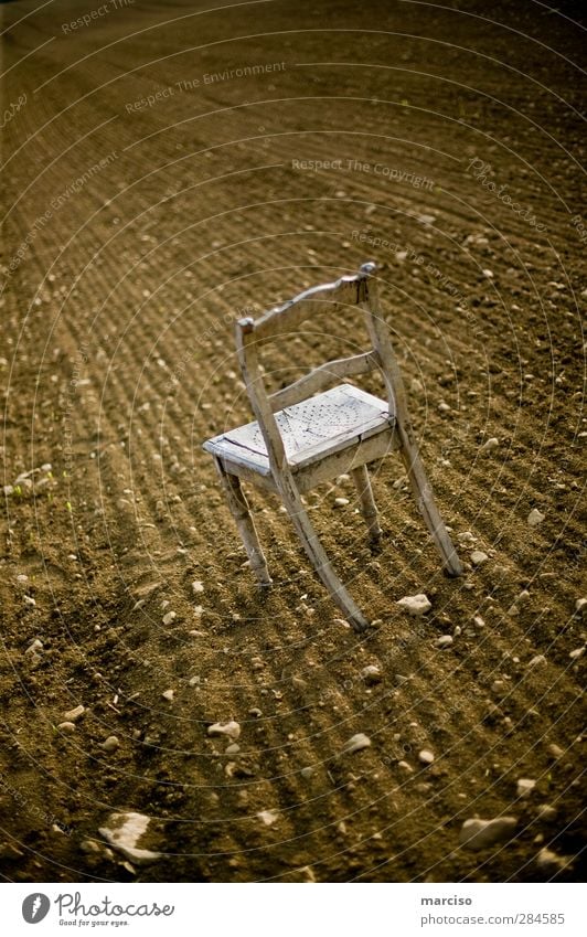 The lonely chair Chair Academic studies Art Exhibition Stage play Theatre Culture Earth Field Wood Sit Wait Patient Calm Modest Loneliness Perturbed