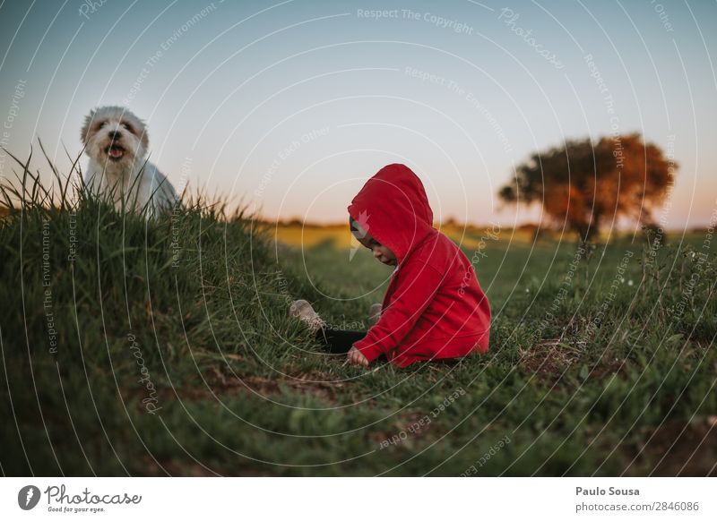 Baby and pet on nature Human being Child Toddler Girl 1 1 - 3 years Environment Nature Touch Discover To enjoy Lie Friendliness Happiness Together Happy Funny