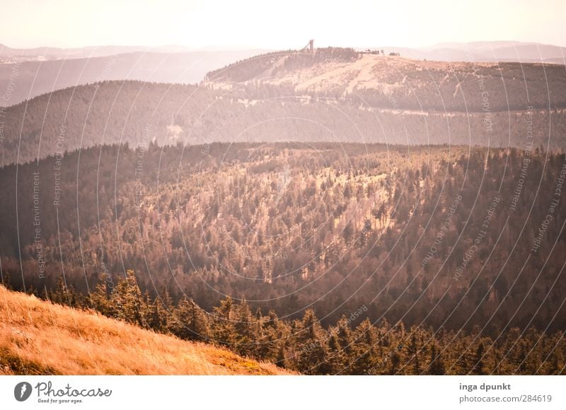 far vision Environment Nature Landscape Plant Autumn Grass Forest Hill Mountain Peak Romania Siebenbürgen Carpathians Environmental protection Far-off places