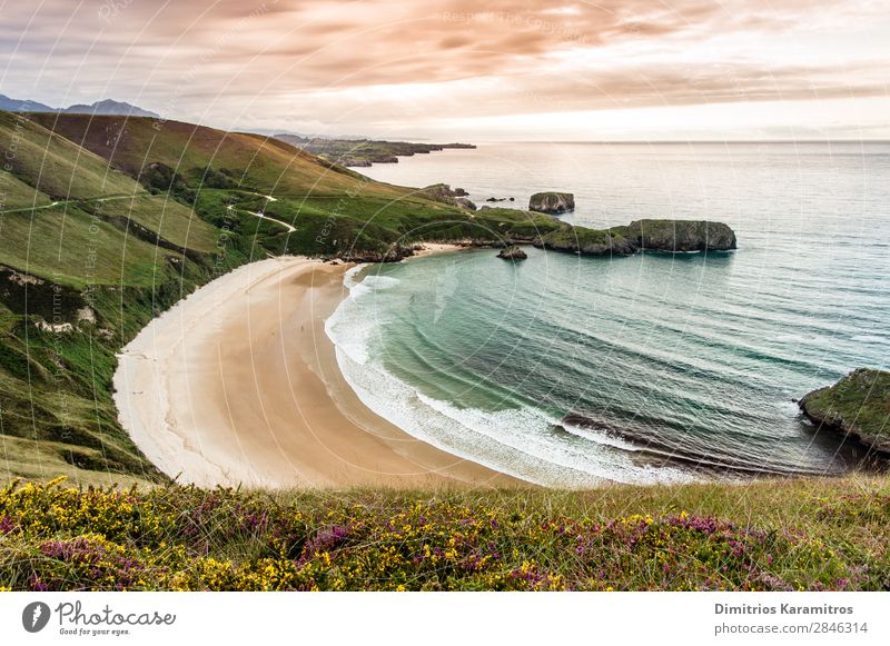 Torimbia beach in Spain Environment Nature Landscape Sand Water Sky Clouds Summer Beautiful weather Flower Waves Coast Beach To enjoy Vacation & Travel Exotic