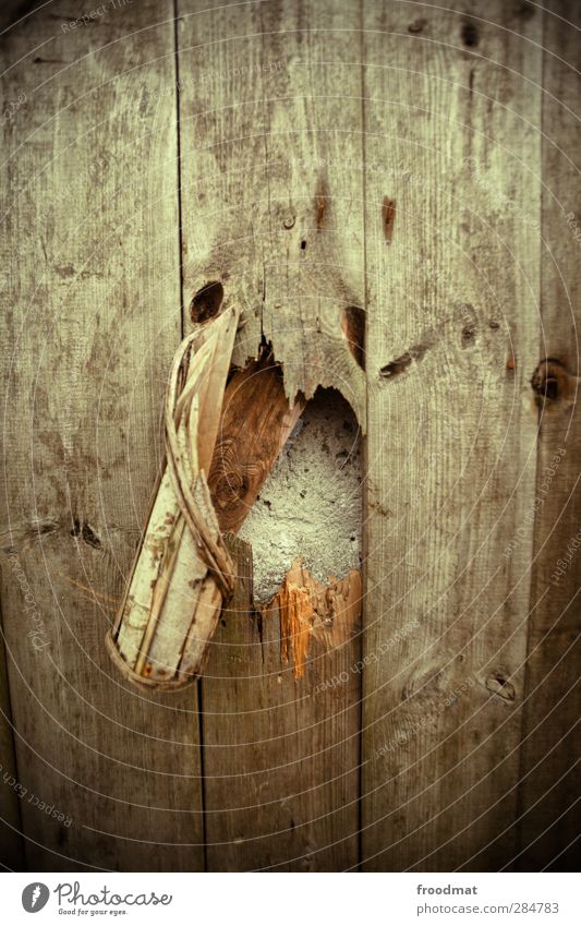 Halloween Wall (barrier) Wall (building) Creepy Hideous Broken Decline Past Transience Wooden wall Face Structures and shapes Texture of wood Tongue