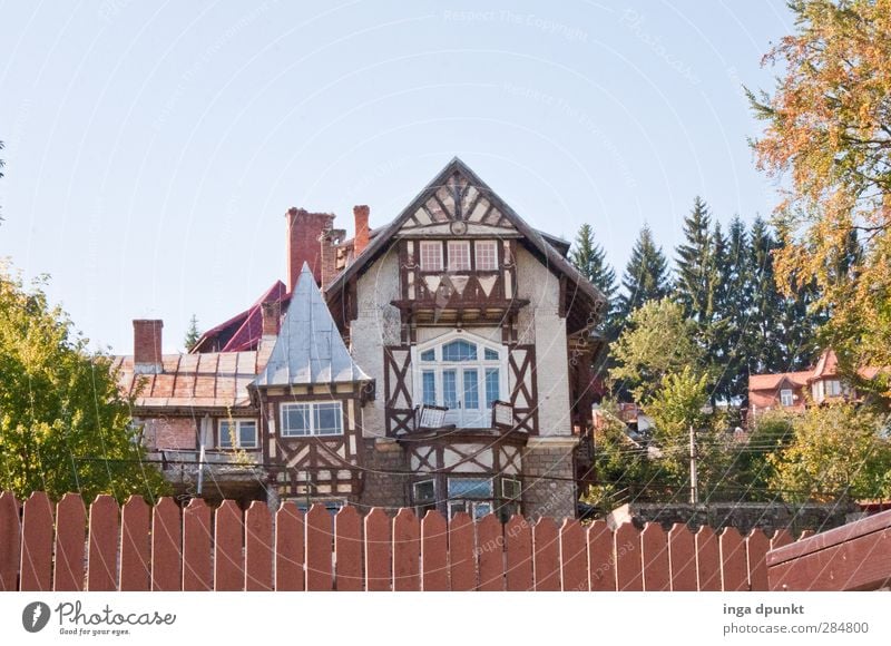 village idyll Environment Nature Garden Siebenbürgen Romania Village Deserted House (Residential Structure) Detached house Building Half-timbered facade