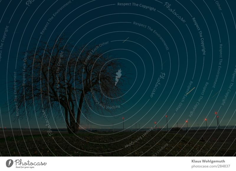 A bare pear tree on a small hill, far in the background many wind turbines, above all a cloudless night sky stretches. Stars draw their line traces. Technology