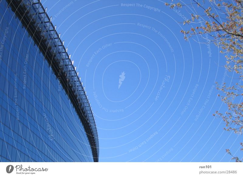 office Building Tree Reflection Architecture Glass Sky Blue façade glass facade