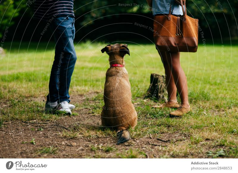 Couple with dog outside Human being Food Park Festive Festival Party Relaxation Action Feasts & Celebrations Summer Picnic Delicious Dog Pet begging Animal