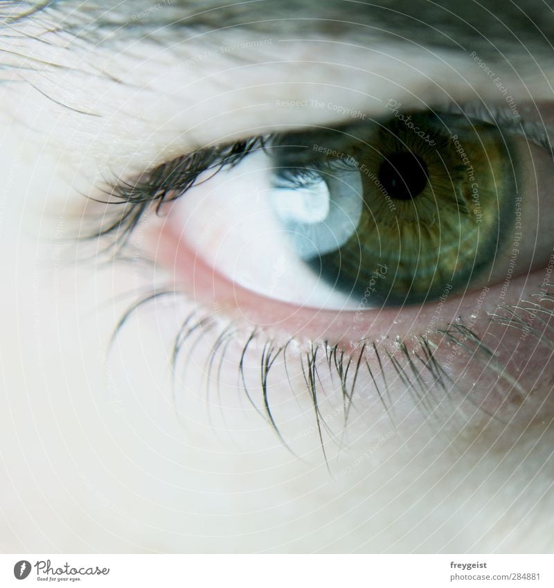 deep Human being Masculine Eyes Dream Green Eyelash Multicoloured Macro (Extreme close-up) Looking into the camera