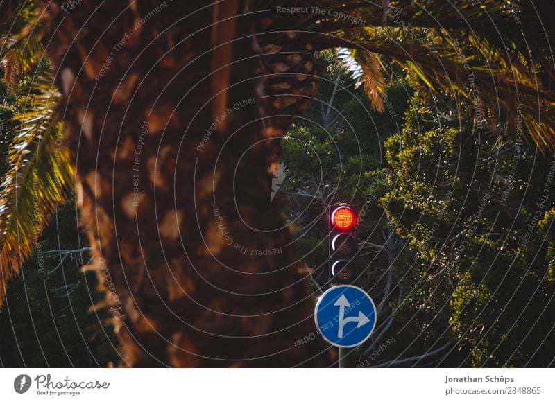 Red light for straight ahead and right. Federal election, state election, European election Transport Traffic infrastructure Road traffic Motoring Success Brave