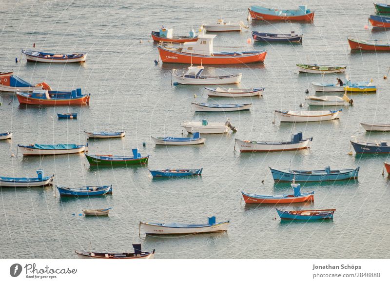 Boats off Tenerife Watercraft Ocean Fishing boat Pattern Many Boating trip Harbour Summer Multicoloured Deserted Canoe Red Blue Vacation & Travel Relaxation