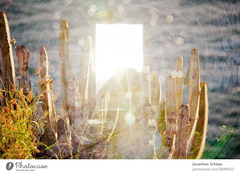 illuminated door multiple exposure Nature Joie de vivre (Vitality) Enthusiasm Euphoria Brave Truth Authentic Hope Belief Death Illuminate Easter Resurrection