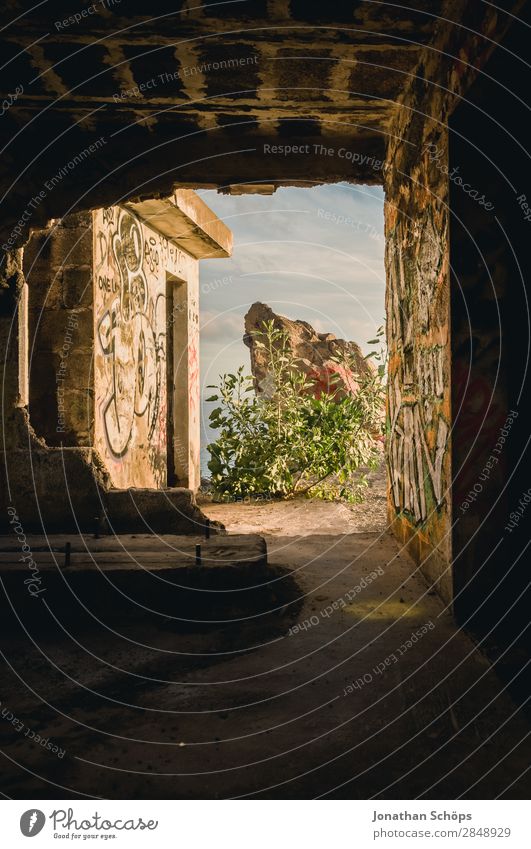 passage in abandoned building Nature Joie de vivre (Vitality) Enthusiasm Brave Truth Hope Religion and faith Belief Death Illuminate Easter Tenerife Ocean South