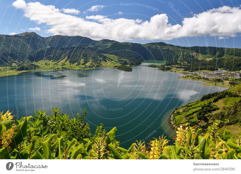 Azores 02 Nature Landscape Plant Water Sky Clouds Summer Flower Bushes Leaf Blossom Foliage plant Wild plant Mountain Volcano Volcanic crater Lakeside