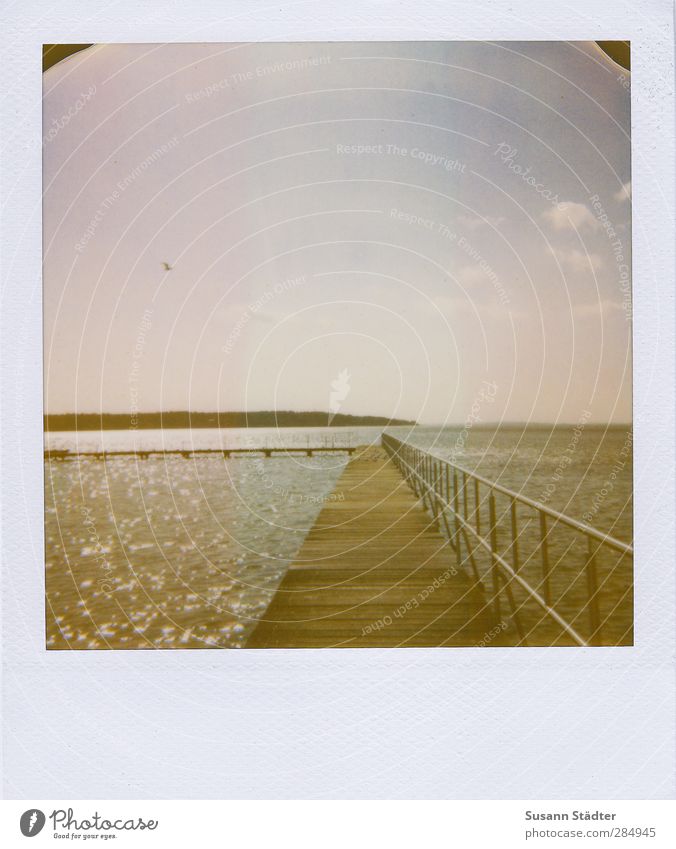 I was here. Nature Elements Water Sky Sunlight Waves Coast Lakeside Truth Footbridge Handrail Hold Freedom Müritz Bird Flying Free space Autumnal Polaroid