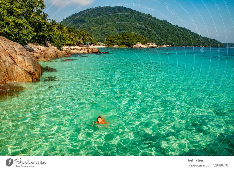 swim in the sea Coral reef Swimming & Bathing Playing Infancy Boy (child) Child relax recover Romance Palm tree Malaya Rock Relaxation Dream island Landscape