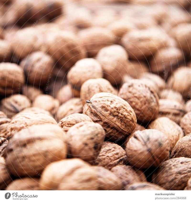 Walnut - Juglans regia Food Picnic Organic produce Vegetarian diet Slow food Nut Walnut kernel Agricultural crop Wild plant Common walnut Nutcrackers