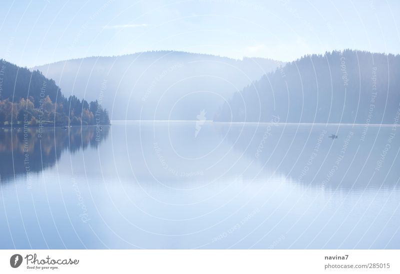 silent... Fishing (Angle) Environment Nature Water Sky Autumn Fog Mountain Lake schluchsee Relaxation Blue Caution Calm Loneliness Far-off places Reflection