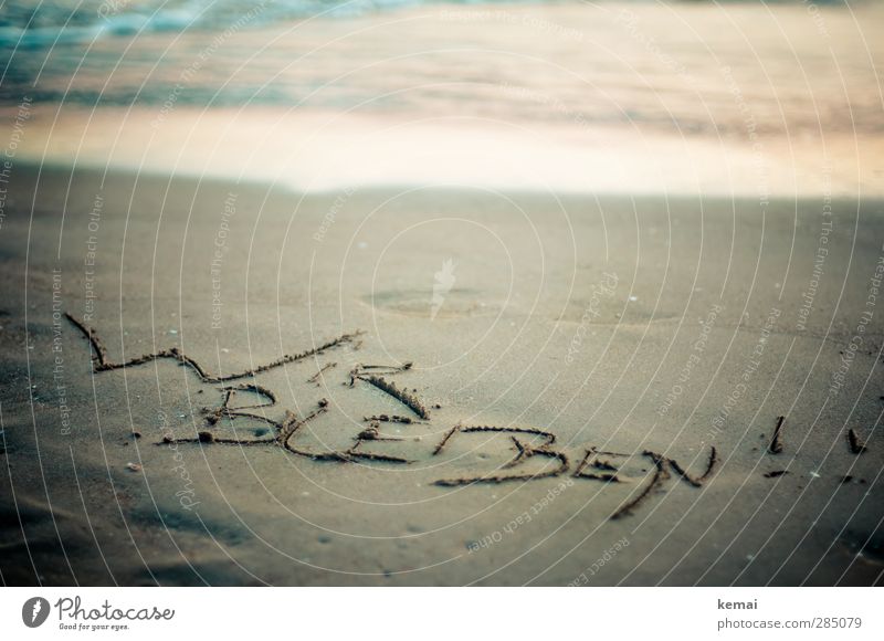 Happy. We're staying. Vacation & Travel Tourism Summer Summer vacation Beach Ocean Sandy beach Coast Characters Joy Stay Meaningful statement Colour photo