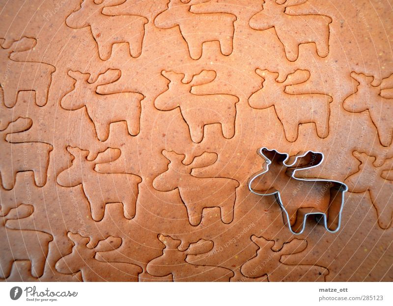 Lonely reindeer in a reindeer herd Food Dough Baked goods Dessert Candy Cookie Nutrition Pierce Animal Reindeer Elk Herd Animalistic Christmas & Advent