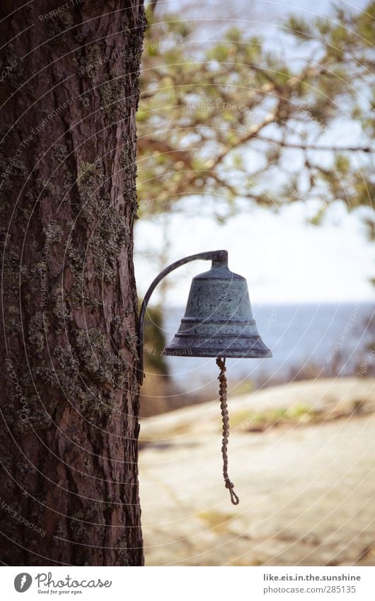 Sweetie, the bells never ring. Vacation & Travel Summer Summer vacation Living or residing Environment Nature Beautiful weather Tree Bell chime String Tree bark