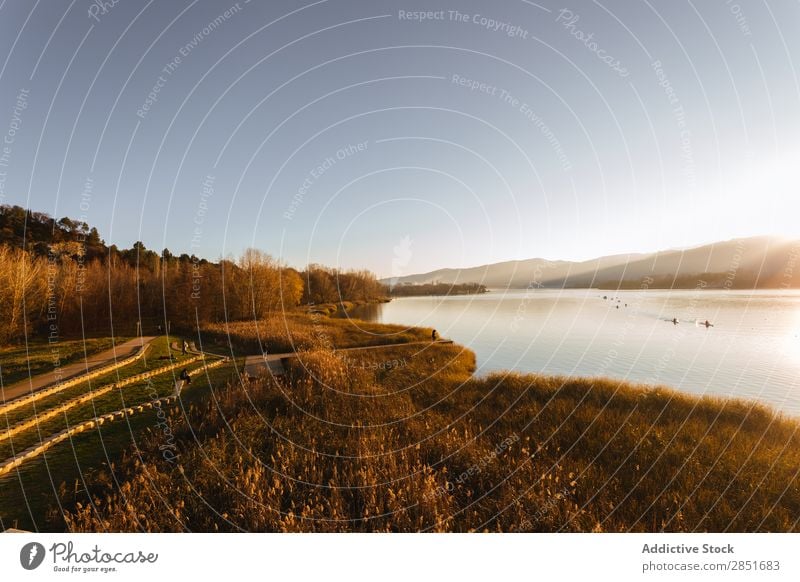 Lake banyoles Sunset Twilight Canoeist Water Catalonia girona Nature Landscape lestany pla Blue Autumn Spain Sky Relaxation Forest Peace Reflection