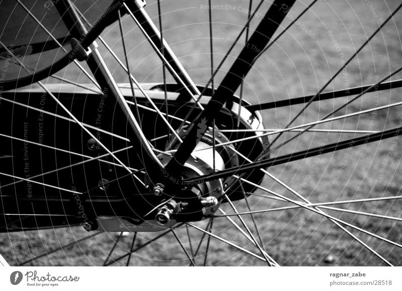 wheel Gazelle Bicycle Leisure and hobbies primeur Black & white photo Contrast Spokes