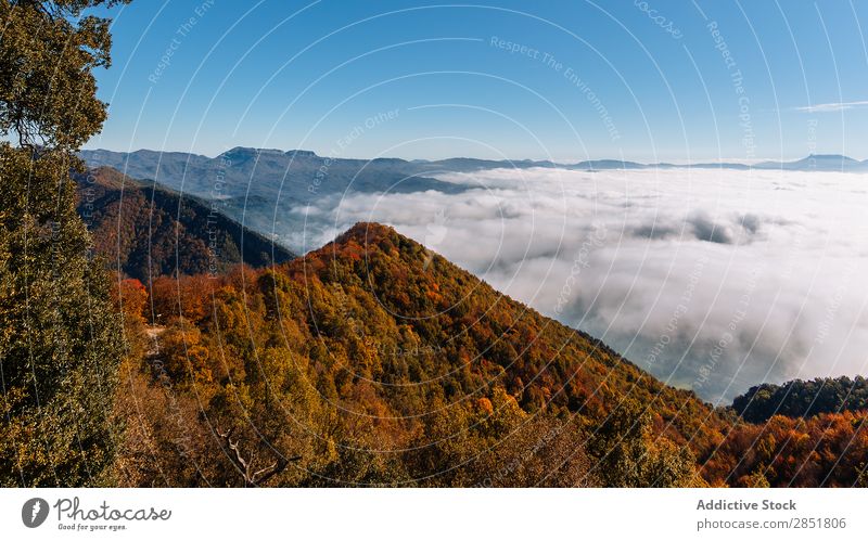 Aerial view of a valley Aircraft Clouds Forest Spain Catalonia osona bellmunt Mountain Blue Sky Nature Landscape Height Sun Vacation & Travel Autumn