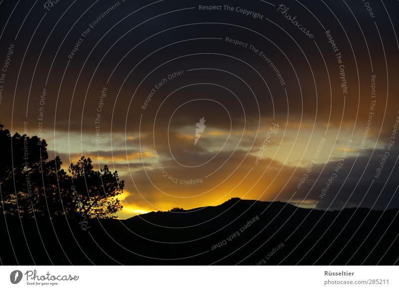 Burning Hills Nature Landscape Fire Sky Horizon Sunrise Sunset Tree Beautiful Yellow Black Colour photo Multicoloured Exterior shot Deserted Twilight