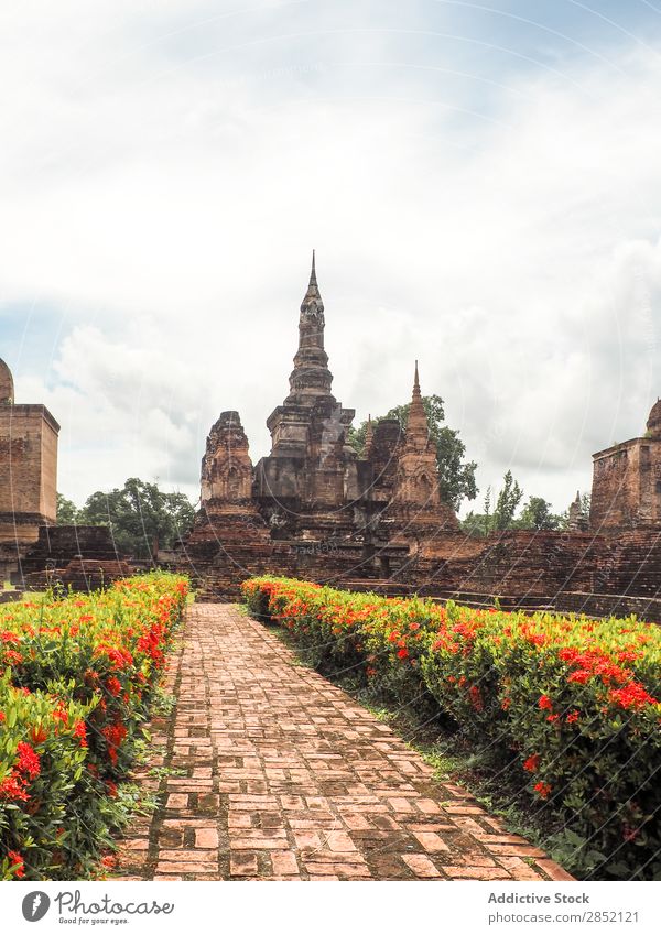 Beautiful flowers and ancient temple Building asian Tradition Multicoloured Street Park Ancient Flower Temple Asia Architecture Culture Old Tourism