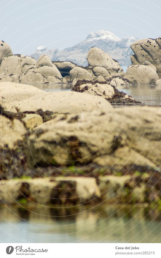 coast Nature Landscape Air Water Sky Clouds Bad weather Moss Rock Coast Ocean Loneliness Vacation & Travel Serene Survive Transience Time Colour photo