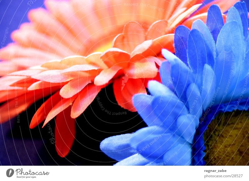 flowers2 Silk flower Orange Blue Kitsch