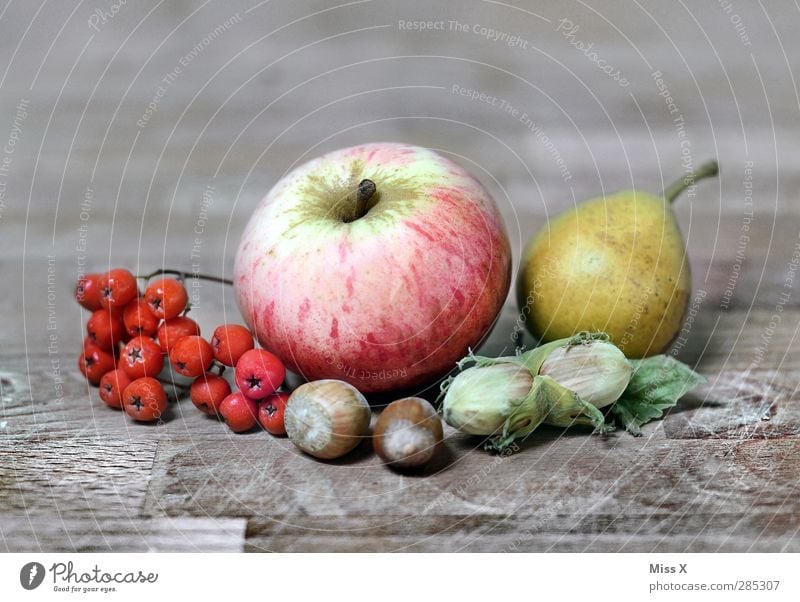 autumn life Food Fruit Apple Nutrition Thanksgiving Autumn Plant Leaf Healthy Wooden table Pear Rawanberry Berries Hazelnut Still Life Autumnal Decoration