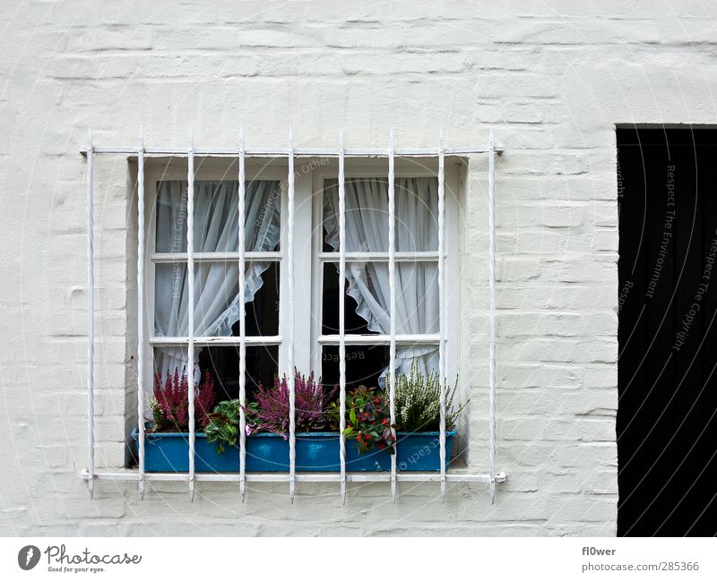 barred windows Deserted House (Residential Structure) Manmade structures Building Window Concrete Metal Old Bright Blue Black White Door Window box Grating