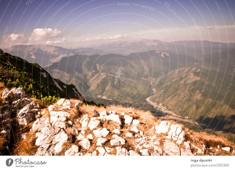 see far Environment Nature Landscape Plant Summer Weather Beautiful weather Rock Mountain Romania Siebenbürgen Carpathians Adventure Far-off places