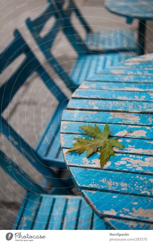 transience Restaurant Autumn Leaf Town Wood Old Esthetic Blue Calm Loneliness Sidewalk café Table Chair Flake off Dye Autumn leaves Early fall Autumnal