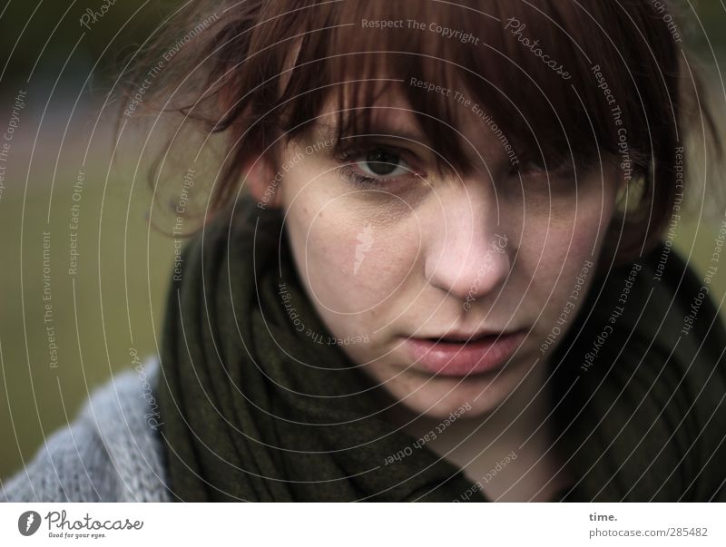 andlostluggage Feminine Head Hair and hairstyles Face Nose Mouth 1 Human being Scarf Brunette Observe Looking Attentive Watchfulness Caution Calm Self Control