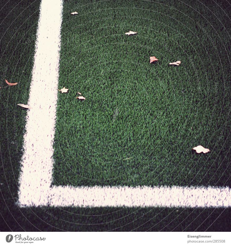 [wpt HH 10.12] Side line Soccer Football pitch Sideline Artificial lawn Leaf Green White Orderliness Sports Line Boundary Colour photo Subdued colour