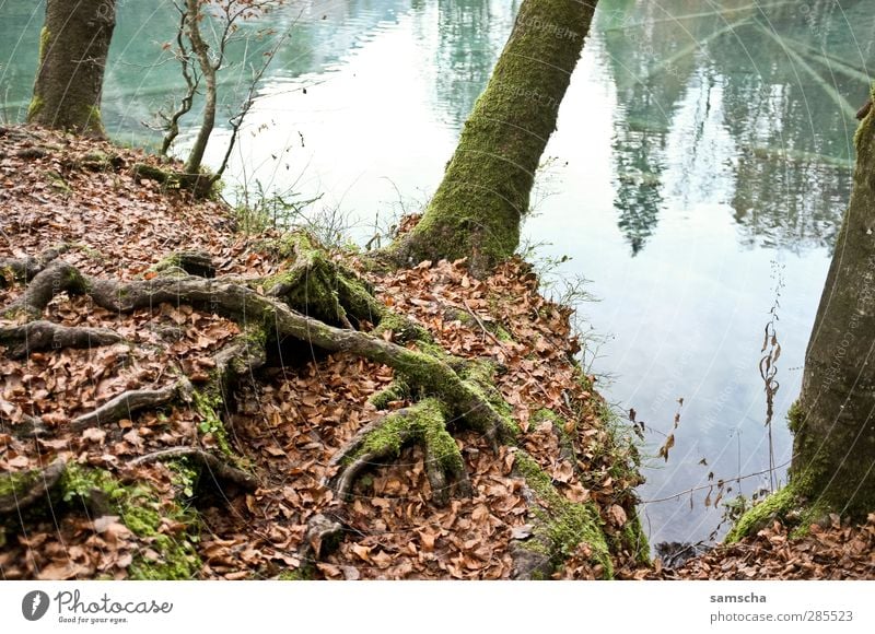 mountain lake Fishing (Angle) Nature Landscape Water Autumn Lakeside Faded To dry up blue lake Blue Autumn leaves Autumnal Autumnal colours Autumnal landscape