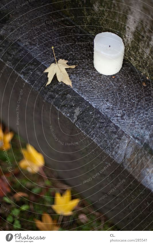 candle Nature Earth Autumn Bad weather Rain Leaf Stone Sadness Cold Wet Gloomy Emotions Compassion Goodness Humanity To console Calm Belief Grief Death Pain