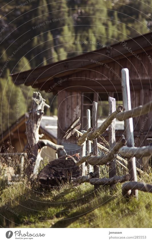 all slats on the fence Vacation & Travel Tourism Trip Summer Beautiful weather Meadow Alps Mountain Wood Calm Loneliness Fence Chalet vacation Hut Grass