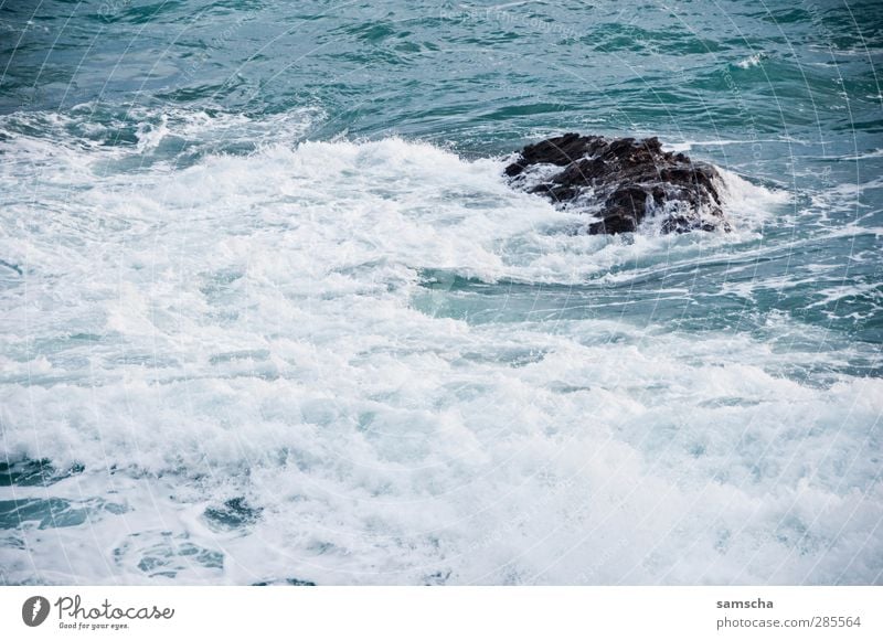 swell Ocean Waves Nature Water Coast Wet Wild Adventure Sea water Surfing Swell Undulation Wave action Rock Rocky coastline White crest Wave break