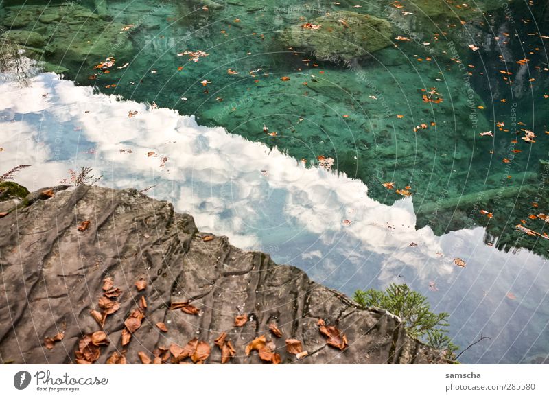 reflections Fishing (Angle) Nature Landscape Water Lakeside Pond Fluid Wet Adventure Shore of a pond Mountain lake Forest lake Autumn leaves Autumnal weather