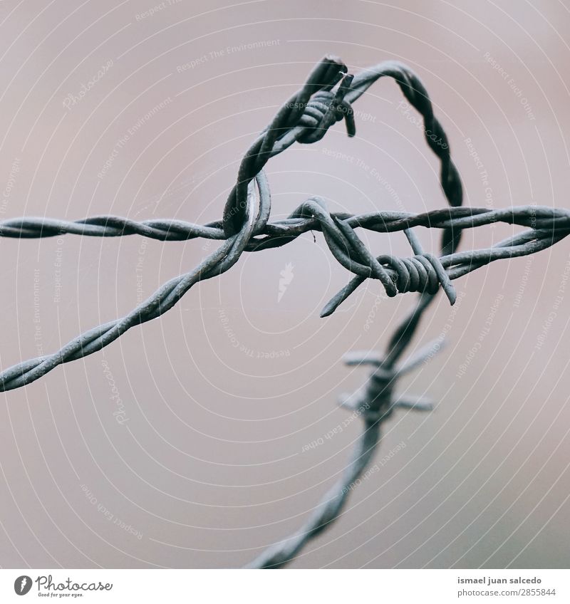 metallic barbed wire fence boken Wire Wire fence Fence Barbed wire Protection Metal Iron Abandon Old Safety (feeling of) Street Exterior shot Nature Broken