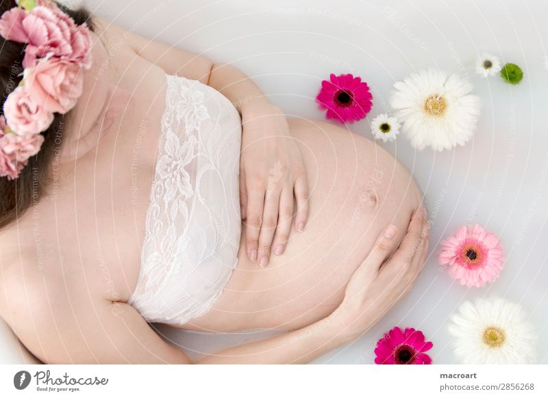 BABYBAUCH milk bath shooting pregnancy shooting Pregnant baby bump shooting Verdant Plant Green Milk body part Woman feminine partial act Photo shoot Natural