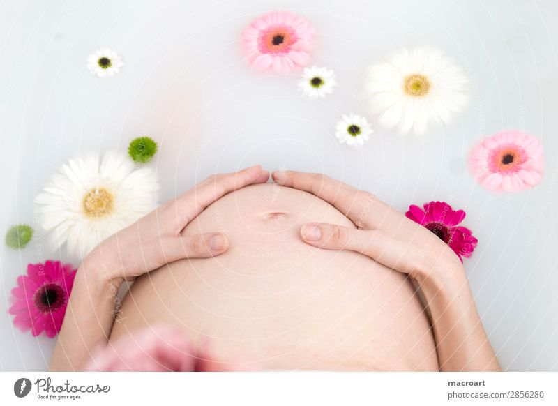 BABYBAUCH milk bath shooting pregnancy shooting Pregnant baby bump shooting Verdant Plant Green Milk body part Woman feminine partial act Photo shoot Natural