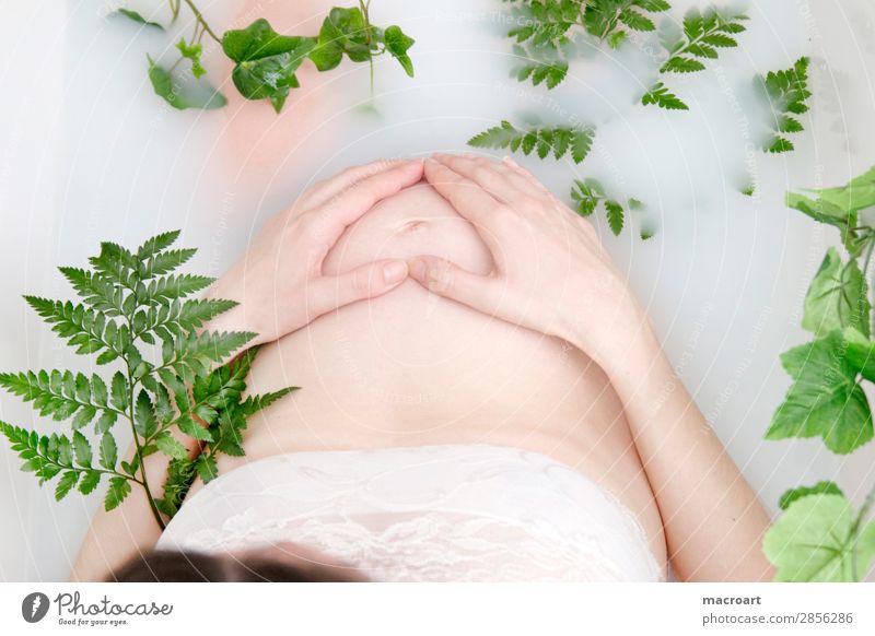 Milhbad shooting milk bath shooting pregnancy shooting Pregnant baby bump shooting Ivy Fern Verdant Plant Green Milk body part Woman feminine partial act