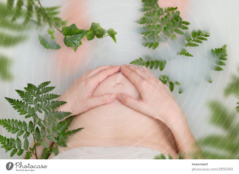 bathtub shooting milk bath shooting pregnancy shooting Pregnant baby bump shooting Ivy Fern Verdant Plant Green Milk body part Woman feminine partial act