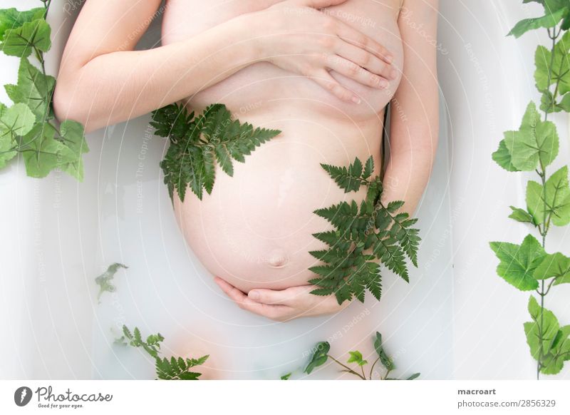 milk bath shooting pregnancy shooting Pregnant baby bump shooting Ivy Fern Verdant Plant Green Milk body part Woman feminine partial act Photo shoot Natural