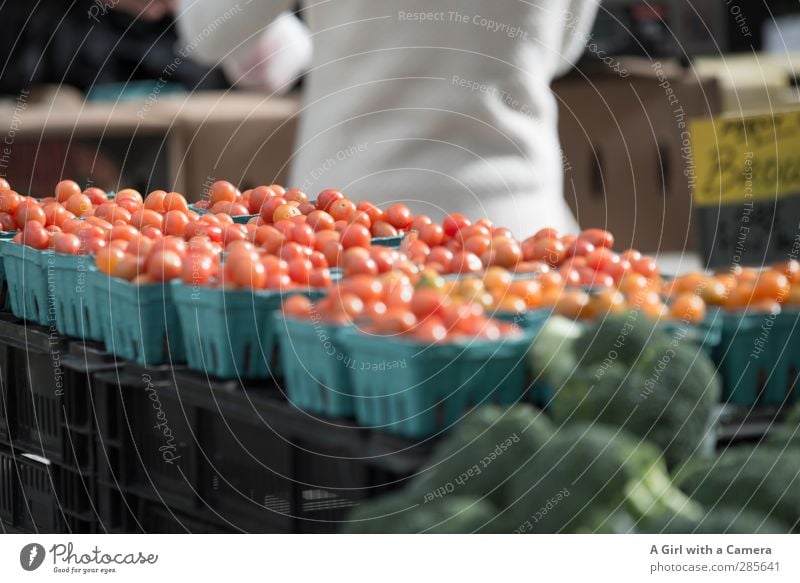 down at the market Food Vegetable Tomato Organic produce Vegetarian diet Fasting Fresh Healthy Together Markets Sell Presentation Subdued colour Exterior shot