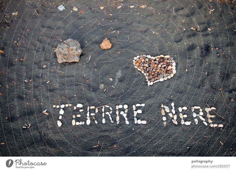 terrre nere Earth Sand Beautiful weather Coast Beach Black White Infatuation Heart Colour photo Subdued colour Exterior shot Close-up Experimental Abstract