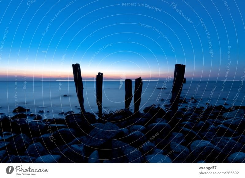 Dawn at Cape II Nature Sky Cloudless sky Stars Horizon Sunrise Sunset Spring Beautiful weather Coast Beach Baltic Sea Loneliness Moody star trails Stone